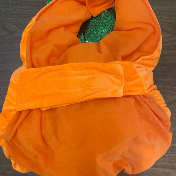 Pumpkin Costume for a DOG! - Picture 2 of 2
